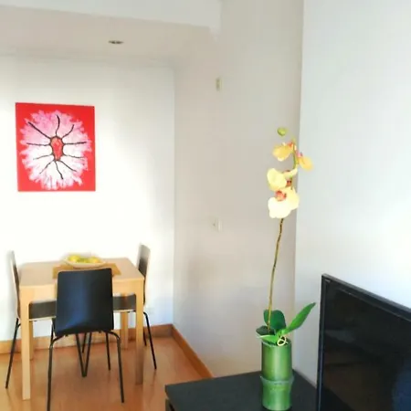 Real Apartment